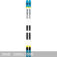 Dynastar DH Skis.jpg - 30kB