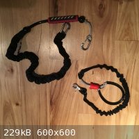 Leashes.jpg - 229kB