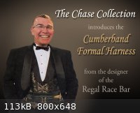 cumberband_harness_2.jpg - 113kB