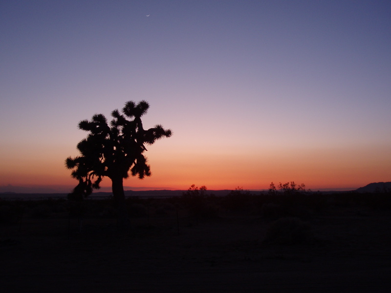 Elmirage 3.1.jpg - 95kB