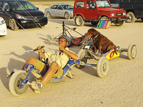 caddo buggy dog.jpg - 88kB