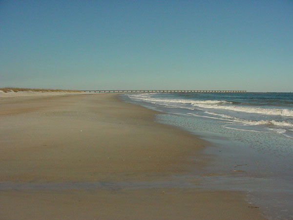 FTC-AtlanticBeach-park.JPG - 36kB