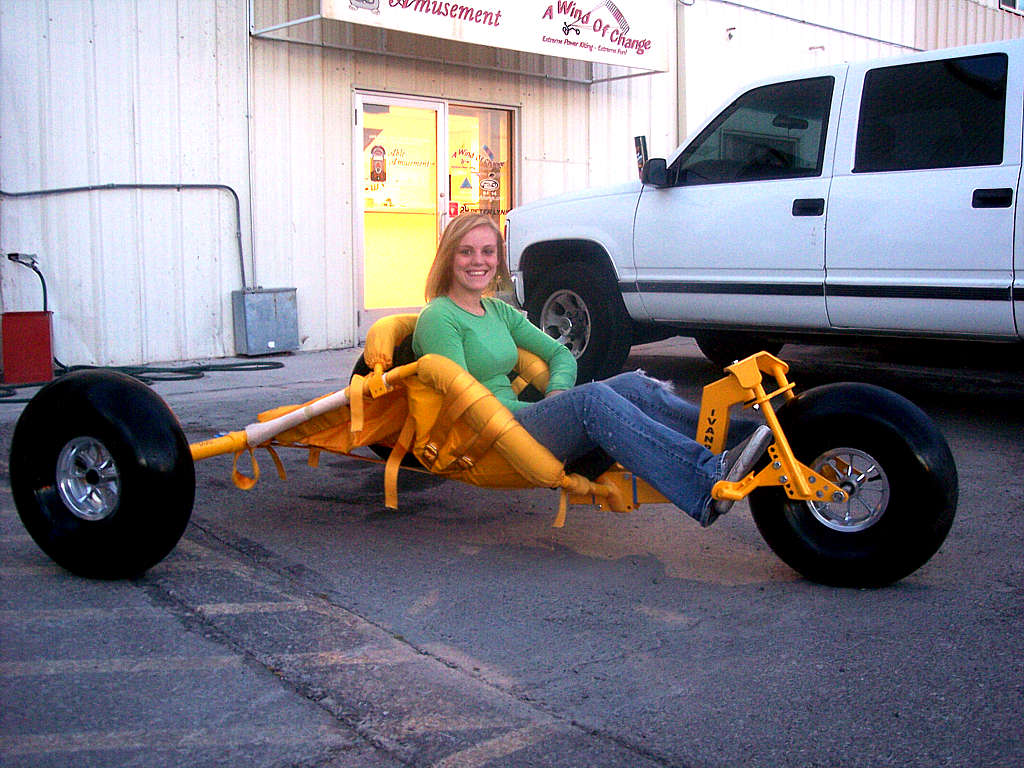 yellow bug Kristin.jpg - 143kB