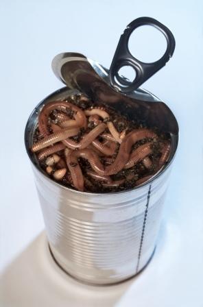 can of worms.jpg - 16kB