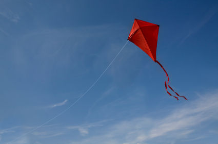 how-to-build-a-kite.s600x600.jpg - 44kB