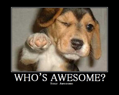 whos-awesome-dog.jpg - 70kB