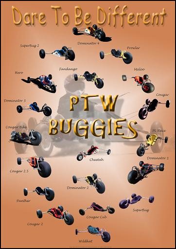 PTWBuggies2011,resize.jpg - 65kB