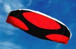 baliiastic kite.jpg - 5kB