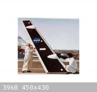 NASA smallWing.jpg - 39kB