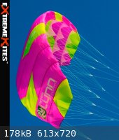 extremekites.com.au-peter_lynn_uniq_quad.jpg - 178kB