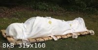 burial shroud.jpeg - 8kB